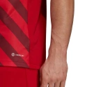 Pánský dres Entrada 22 Graphic Jersey M HB0572 - Adidas