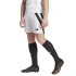 Šortky adidas Fortore 23 M IK5761