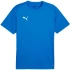 Pánské tričko Puma TeamGoal Jersey blue 658636 02 pánské