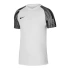Pánské tréninkové tričko Dri-Fit Academy SS M DH8031-104 - Nike