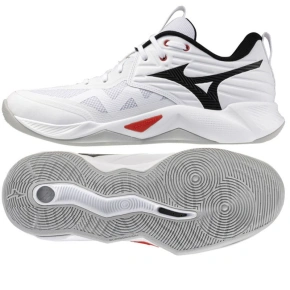 Boty Mizuno WAVE MOMENTUM PRO V1GA254059