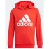 Dětská mikina Essentials Big Logo Hoodie Jr GN4037 - Adidas