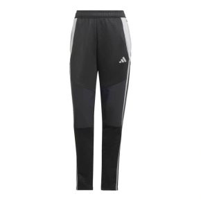 Kalhoty adidas Tiro 24 Winter W IX7887 dámské