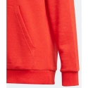 Dětská mikina Essentials Big Logo Hoodie Jr GN4037 - Adidas