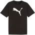 Puma Team Rise Logo Jersey Cotton M 658705 03 pánské