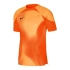 Pánské brankářské tričko Dri-FIT ADV Gardien 4 M DH7760-819 - Nike