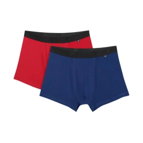 Pánské boxerky 4F M059 2-pack multicolor 2 4FWMM00UBXSM059 92S Pánské boxerky 4F M059 2-pack multicolor 2 4FWMM00UBXSM059 92S