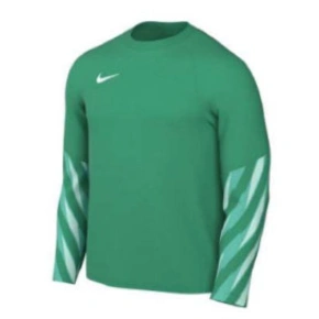 Tričko s dlouhým rukávem Nike Dri-FIT Park V HV8314-324