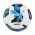 Puma Orbit 5 Fusion fotbal 84331 05