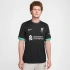 Nike Liverpool FC Stadium Away Shirt 2024/25 FN8780-322