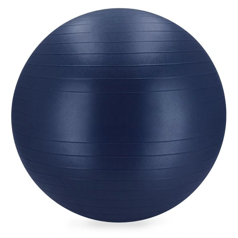 Large Fitball Gymball 65cm BLUE FITBALL