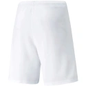Pánské kraťasy teamRISE Short M 704942 03 - Puma