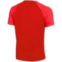 Nike DF Academy Pr Ss Top K Jr Shirt DH9277 657
