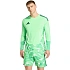 Pánské adidas Tiro 26 Competition Goalkeeper Jersey Long Sleeve green KB5249 pánské