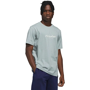 Pánské tričko adidas Color Connect Graphic grey KE1314 pánské Pánské tričko adidas Color Connect Graphic grey KE1314 pánské