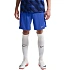 Pánské tréninkové šortky Nike France Dri-Fit Adv Elite modré IB4603 480