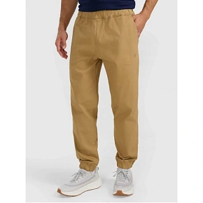 Pánské tepláky typu jogger 4F 4FRMM00TTROM1627-83S