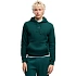 Pánská mikina Puma ESS Small No.1 Logo Hoodie zelená 692914 70