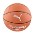Puma TeamJAWS All Pro Basketbal hnědá 84686 01
