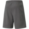 Pánské kraťasy TeamRise Short M 704942 13 - Puma