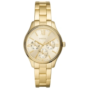 Dámské hodinky FOSSIL Rye BQ3692+ BOX Dámské hodinky FOSSIL Rye BQ3692+ BOX