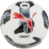Puma Orbit 4 HYB FIFA Basic fotbal 84326 02