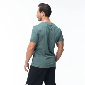 Pánské tričko s krátkým rukávem HAMILONI