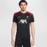 Nike Liverpool FC Strike SS Top M Shirt FN9838-013