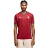 Pánské tričko Puma FPF Portugal Home Jersey Replica Club červené 783278 01 pánské