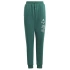 Adidas BLUV Q3 Pant Jr IA1553