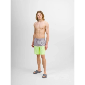 Pánské plážové šortky boardshorts 4F Pánské plážové šortky boardshorts 4F
