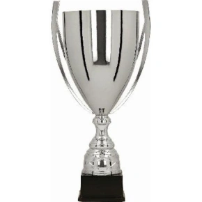 Stříbrný kovový pohár BASTERS