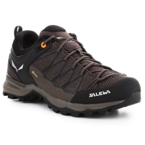 Salewa Pánské boty Mtn Trainer Lite GTX M 61361-7512