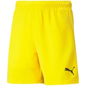 Dětské šortky TeamRise Short Jr 704943 07 - Puma
