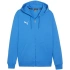 Mikina Puma Team Goal Casuals Hooded M 658595 02 pánské