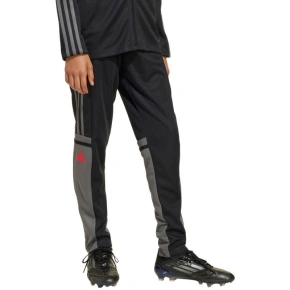 Kalhoty adidas Squadra 25 Training Jr JD1628