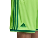 Pánské kraťasy Regista 18 Short M CF9598 - Adidas