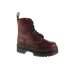 Boty Dr. Martens Audrick W DM27818211
