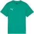 Dětské tričko Puma TeamGoal zelené 658637 05