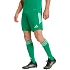 Pánské šortky adidas Tiro 26 League zelené KA8774