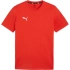 Puma Team Goal Casuals Tee M 658615 01 pánské