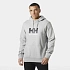Helly Hansen pánská mikina s kapucí HH LOGO HOODIE 54582 949 pánské