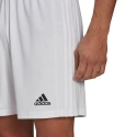 Pánské kraťasy Squadra 21 Short M GN5774 - Adidas