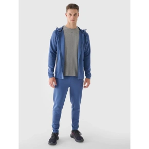 Pánská tréninková mikina s kapucí 4F 4FWAW24TFSWM405-32S