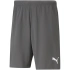 Pánské kraťasy TeamRise Short M 704942 13 - Puma