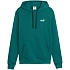Pánská mikina Puma ESS 2 Color Small No.1 Logo Hoodie green 684719 41 pánské