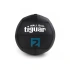 Tiguar wallball 2 kg TI-WB002