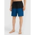 Pánské plážové šortky boardshorts 4F 4FWSS25UBDSM135-46S