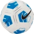 Nike Strike Team J 350 Jr Fotbal CU8064 100