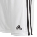 Šortky pro mládež Squadra 21 GN5766 - Adidas
